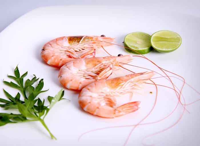 shrimp_indonesiaseafood_20220726140322.jpg